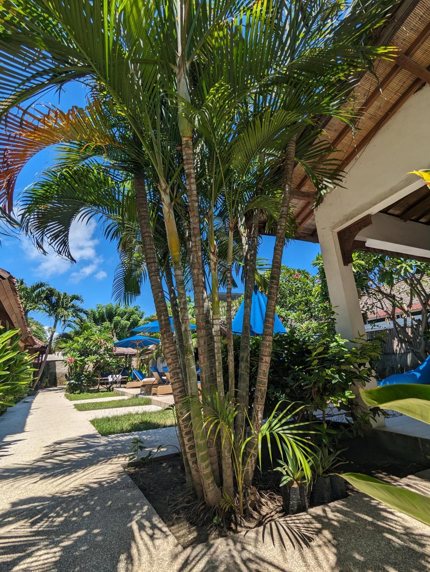 Indigo Bungalows Quần đảo Gili Ngoại thất bức ảnh