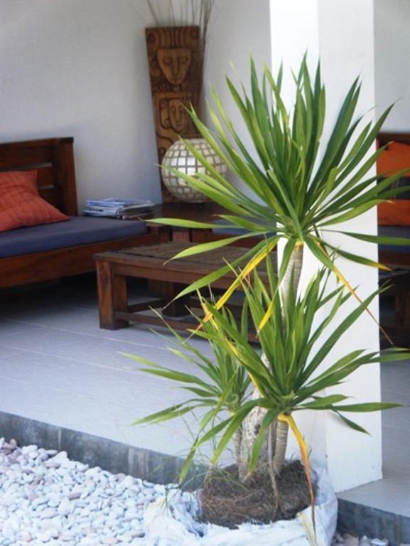 Indigo Bungalows Quần đảo Gili Ngoại thất bức ảnh